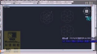 cad制图教程AutoCAD2010视频教程 CAD立体花的绘制