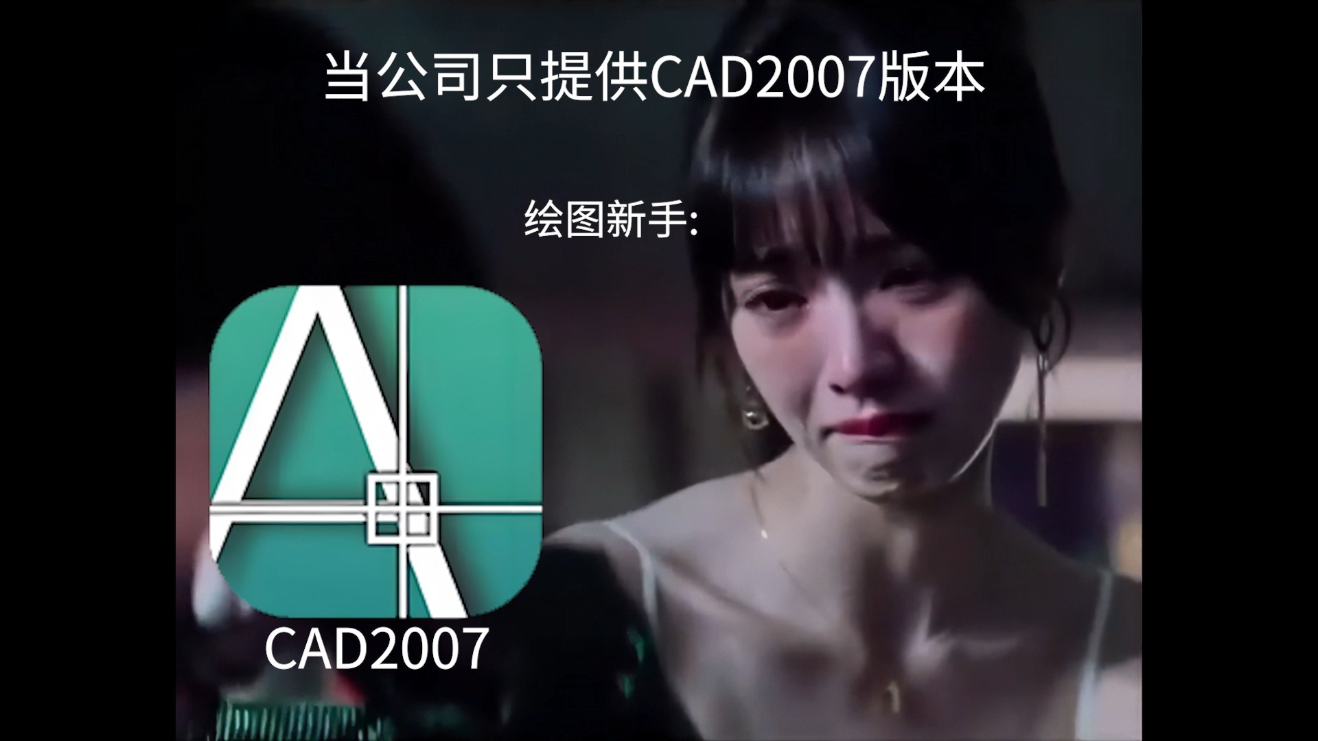     当公司只提供CAD2007时，新手和高手的差距在哪里
