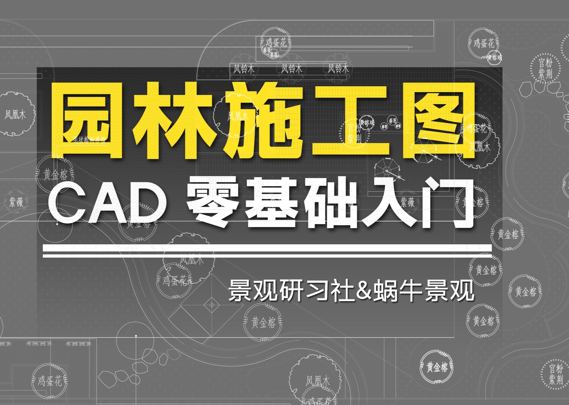 CAD绘图、园路与等高线绘制教程 - 园林施工图零基础入门教学